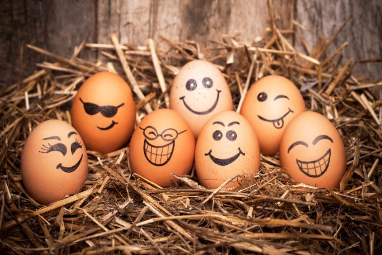 eggs with faces, list of personality traits