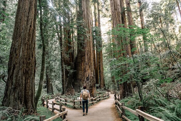 man hiking on path how to find yourself