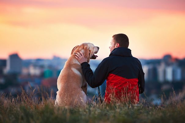 man with dog, hemp oils for dogs