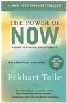 Book cover power of now blinkest review