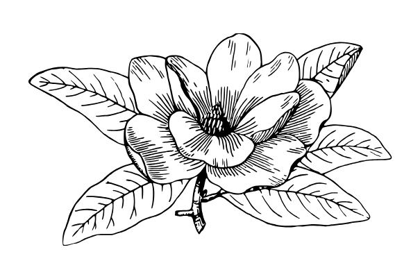 flower, easy things to draw