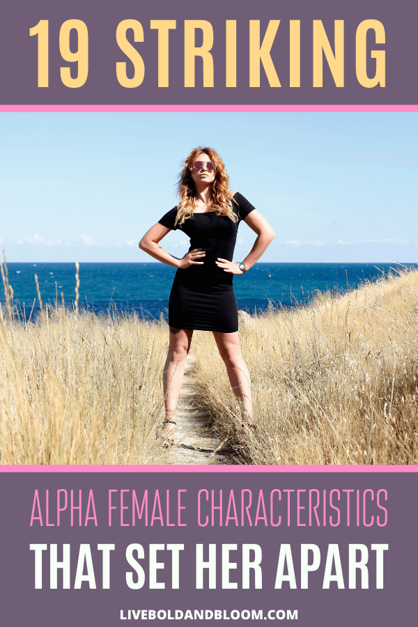 Ever considered yourself an alpha female? It helps to know what traits to look for. Discover all the alpha female characteristics and traits in this post.