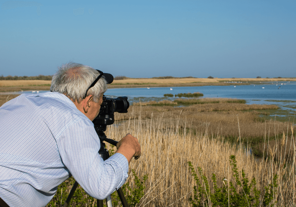 binoculars for birdwatching