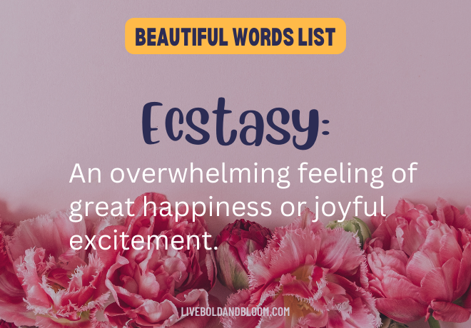 ultimate list of 365 beautiful words and their meanings