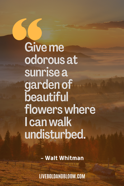 sunrise quotes