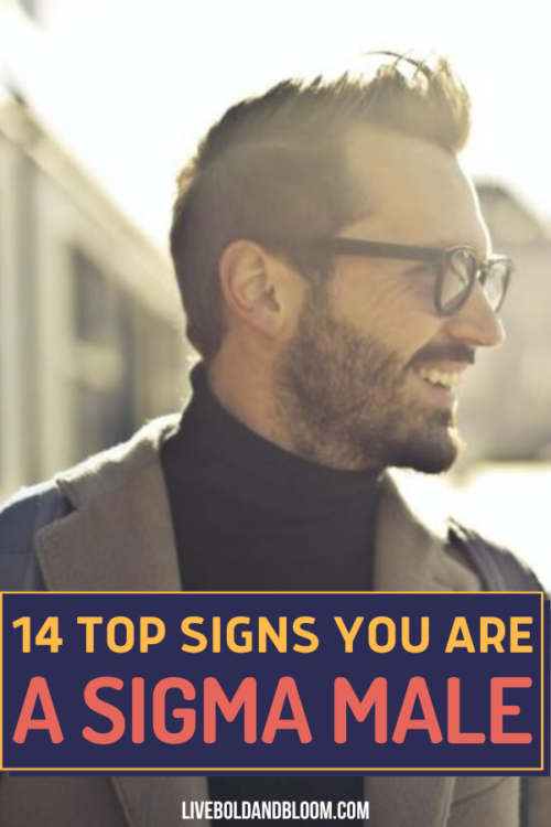 Do you know the signs of a man who is a sigma male? Look at this list of traits and it will help you understand this personality type much better.