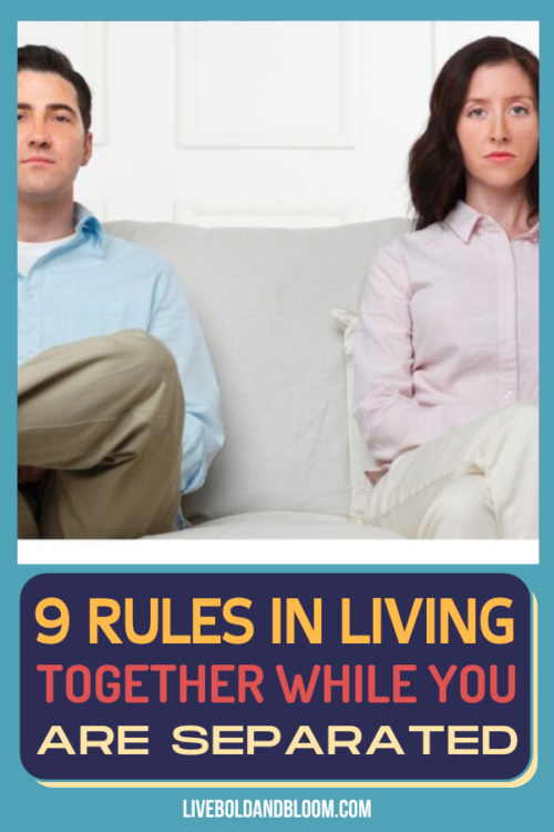 离婚或分居没有nightmare. Discover ground rules for peaceful cohabitation after a split that work for everyone.